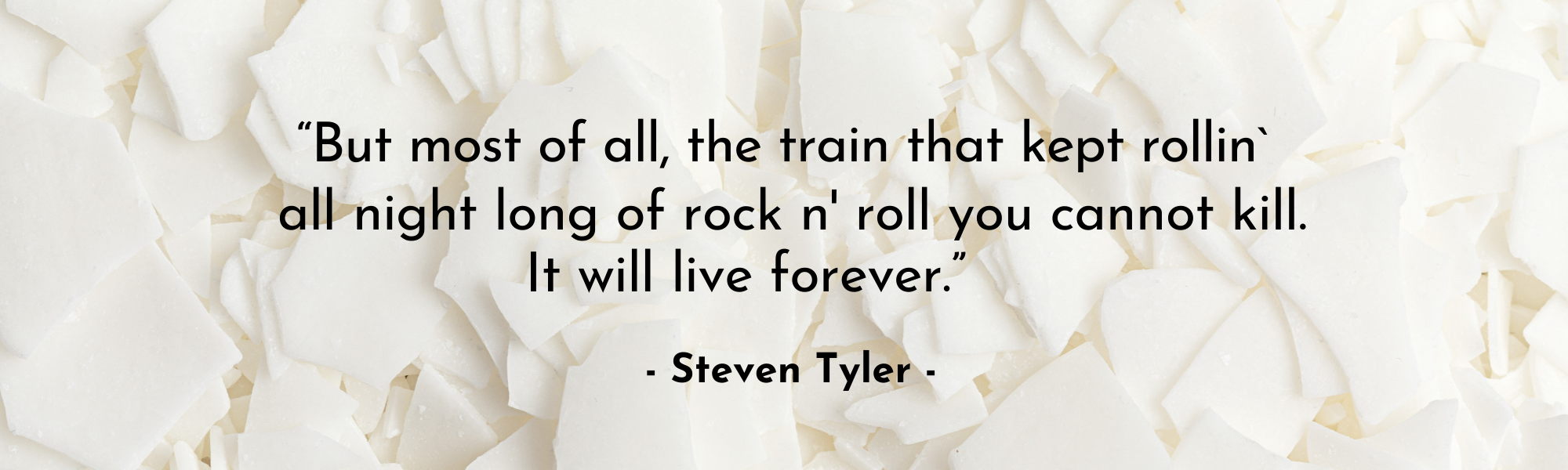 Banner Steven Tyler Zitat