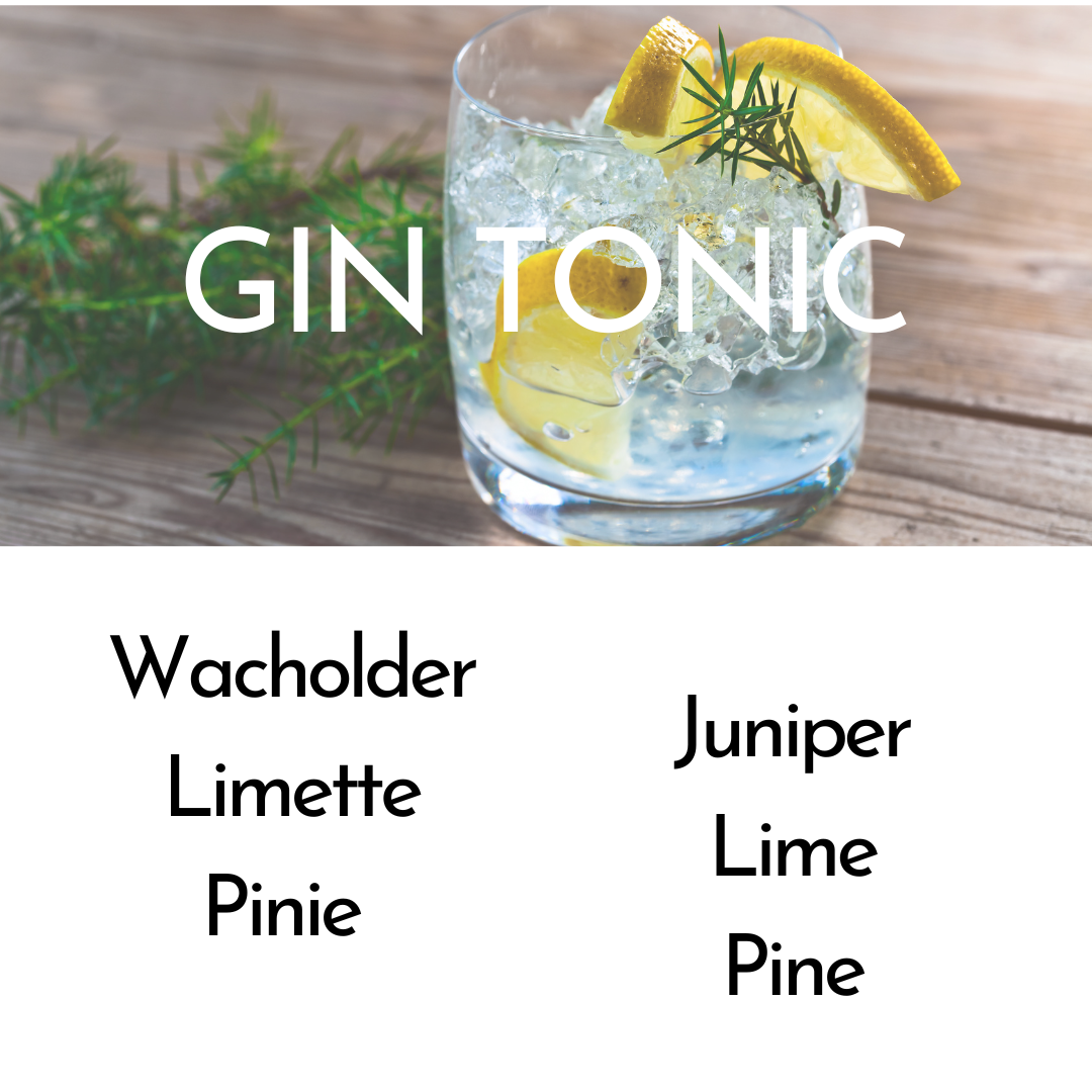 Duftbeschreibung Gin Tonic: Wacholder, Limette, Pinie Master of Puppets