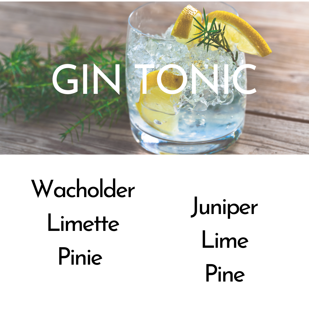 Duftbeschreibung Gin Tonic Kerze Gitarrist